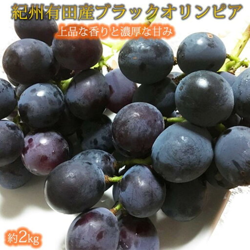 【ふるさと納税】紀州有田産 ブラックオリンピア (ハチミツぶどう) 約2kg 【UT107】 | ぶどう フルーツ 果物 くだもの 食品 人気 おすすめ 送料無料 【ふるさと納税】紀州有田産 ブラックオリンピア (ハチミツぶどう) 約2kg 【UT107】 | ぶどう フルーツ 果物 くだもの 食品 人気 おすすめ 送料無料