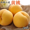 【ふるさと納税】人気 和歌山県産 黄桃(つきあかり、ゆめおうみ)約2kg【数量限定】 ★2025年7月中旬〜8月上旬頃順次発送★【TM177】 | もも フルー...