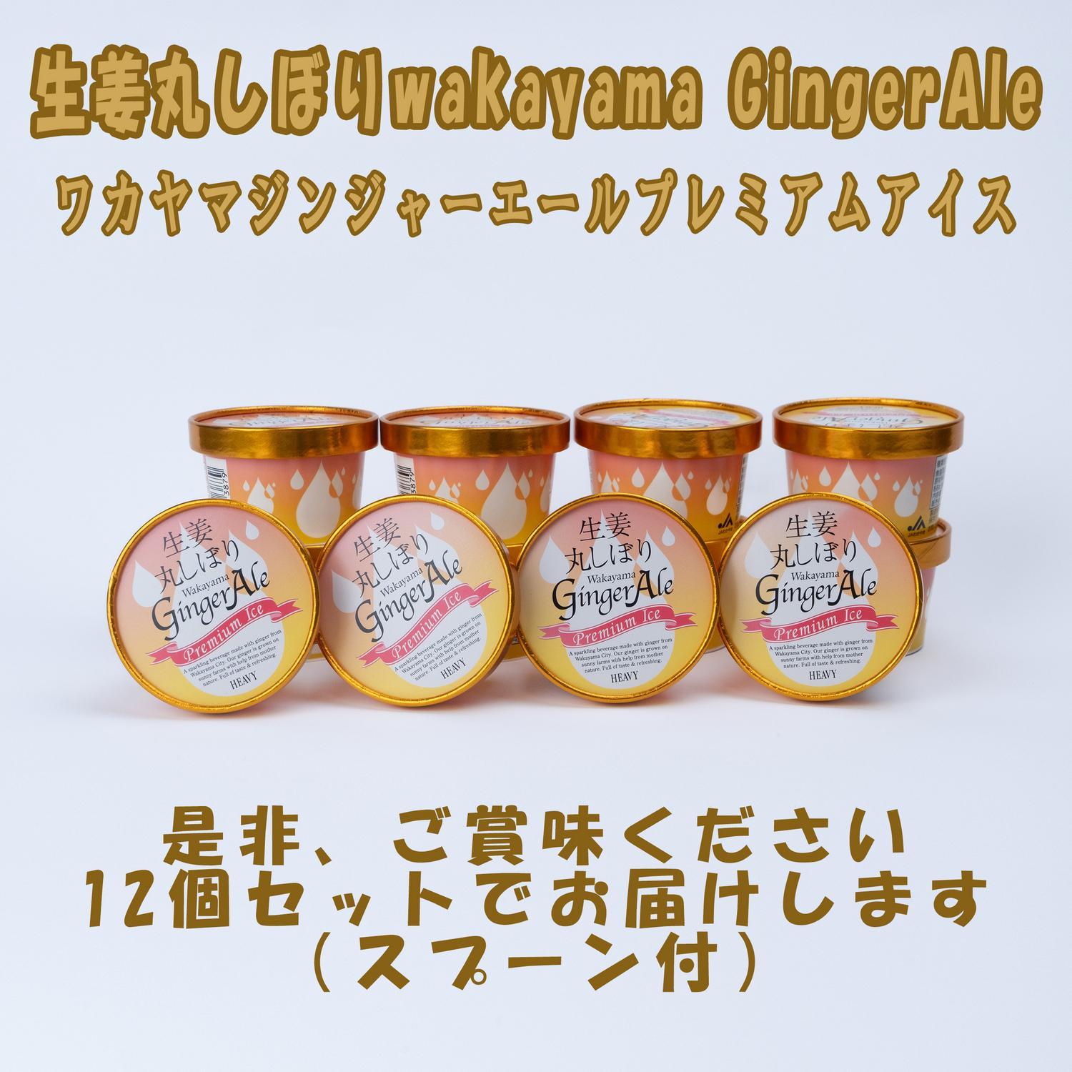 ワカヤマジンジャーエールプレミアム アイス12個 | アイスお菓子 菓子 おかし スイーツ デザート 食品 人気 おすすめ 送料無料