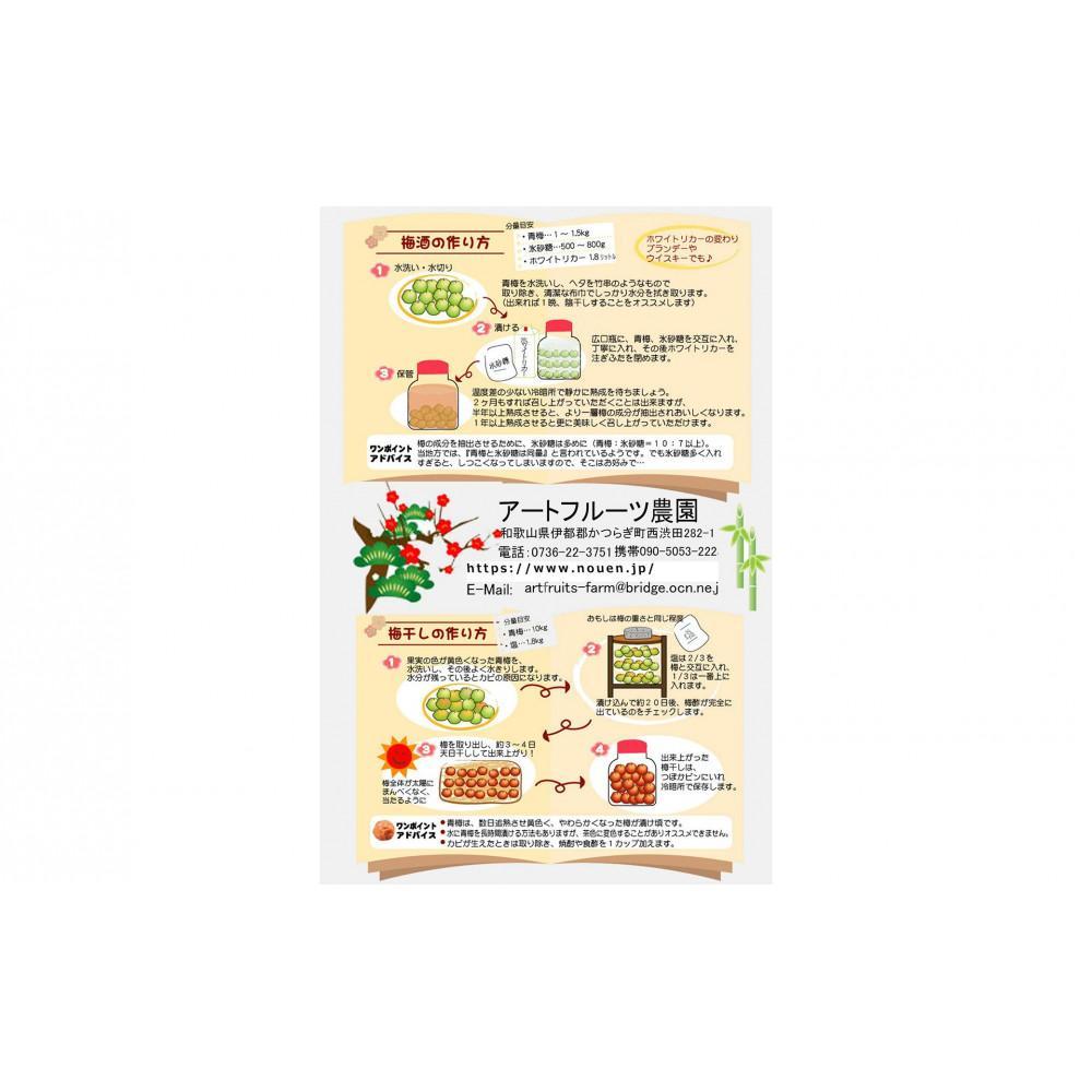 【ふるさと納税】【梅干・梅酒用】大玉4Lサイズ約2kg 熟南高 生梅 赤秀品＜2025年6月上旬～7月7日発送予定＞【ART01】 | フルーツ 果物 くだもの 食品 人気 おすすめ 送料無料