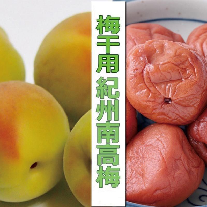 【ふるさと納税】【梅干・梅酒用】(4Lまたは3L-2Kg)熟南高梅<2025年6月上旬~7月7日発送予定>フルーツ 果物 くだもの 食品 人気 おすすめ 送料無料【ART10】