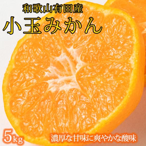 【ふるさと納税】有田の小粒みかん 約5kg (S~3Sサイズ混合)【2025年11月下旬以降発送】【先行予約】【UT134】 | フルーツ 果物 くだもの 食品 人気 おすすめ 産地直送 送料無料