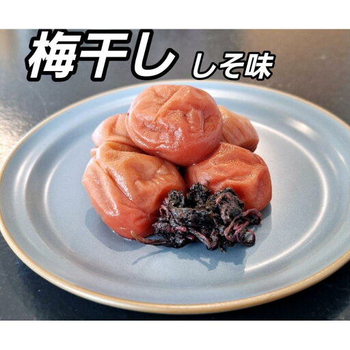 【ふるさと納税】【単品・定期便より選択可】訳あり 梅干し 大粒 大玉 つぶれ梅 しそ梅 塩分10% 約500g or 約1kg(500g×2) | 梅干し梅干 食品 加工食品 人気 おすすめ 送料無料 【ふるさと納税】【単品・定期便より選択可】訳あり 梅干し 大粒 大玉 つぶれ梅 しそ梅 塩分10% 約500g or 約1kg(500g×2) | 梅干し梅干 食品 加工食品 人気 おすすめ 送料無料