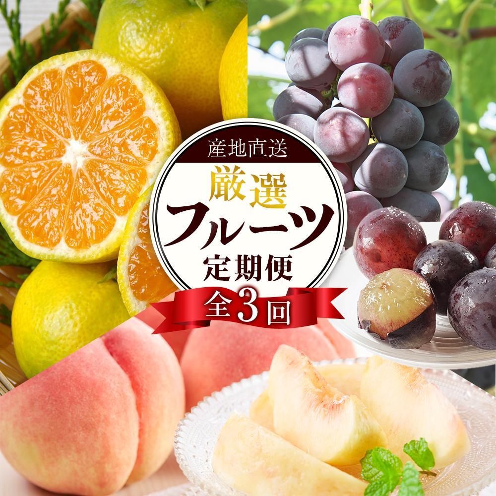 【ふるさと納税】【定期便全3回】産直・厳選フルーツ定期便【TM190】