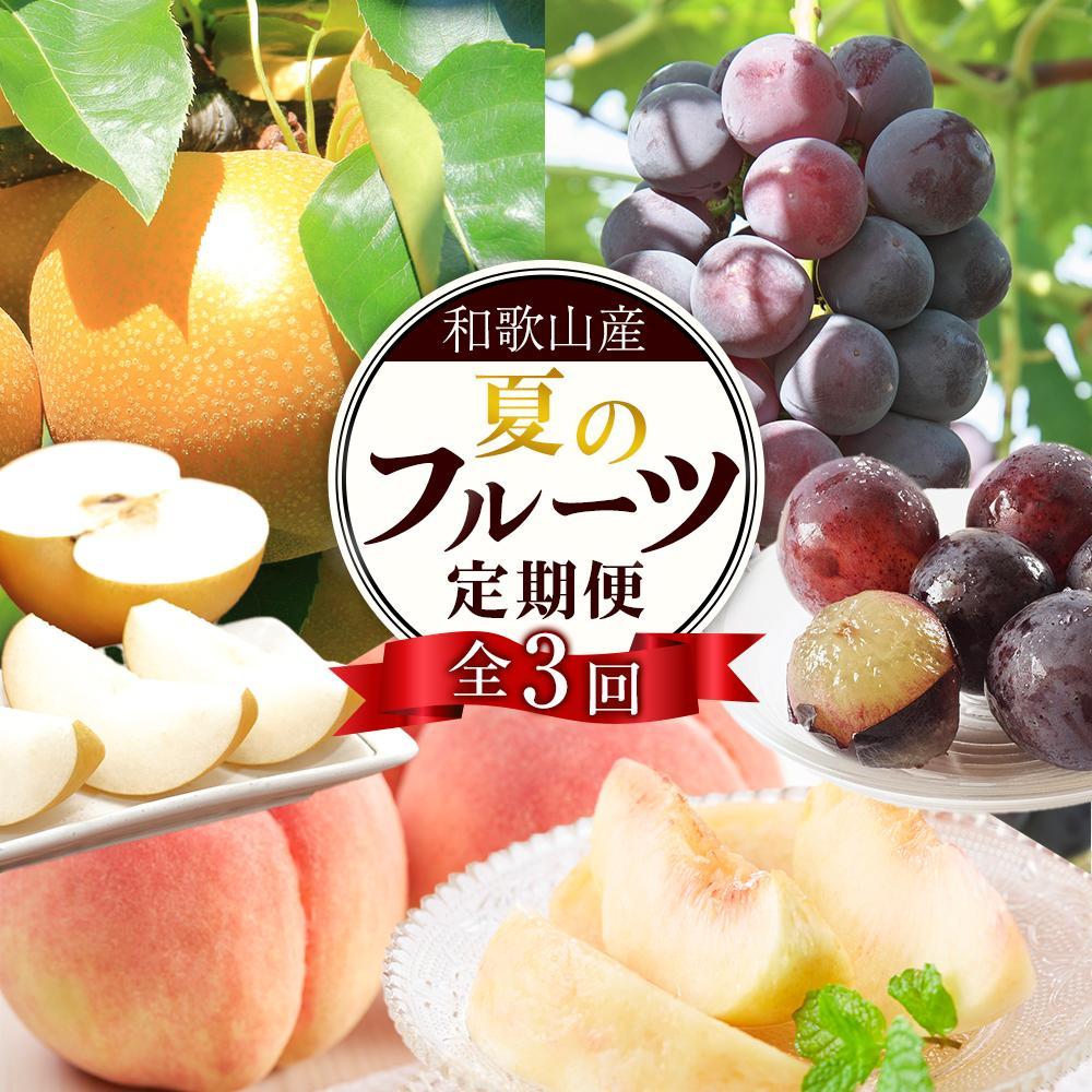 【ふるさと納税】定期便全3回 【7月・8月・9月発送】 和歌山の夏のフルーツをお届け(桃・梨・たねなしピオーネ)【TM179】 | フルーツ 果物 くだもの 食品 人気 おすすめ 送料無料 定期便 産地直送