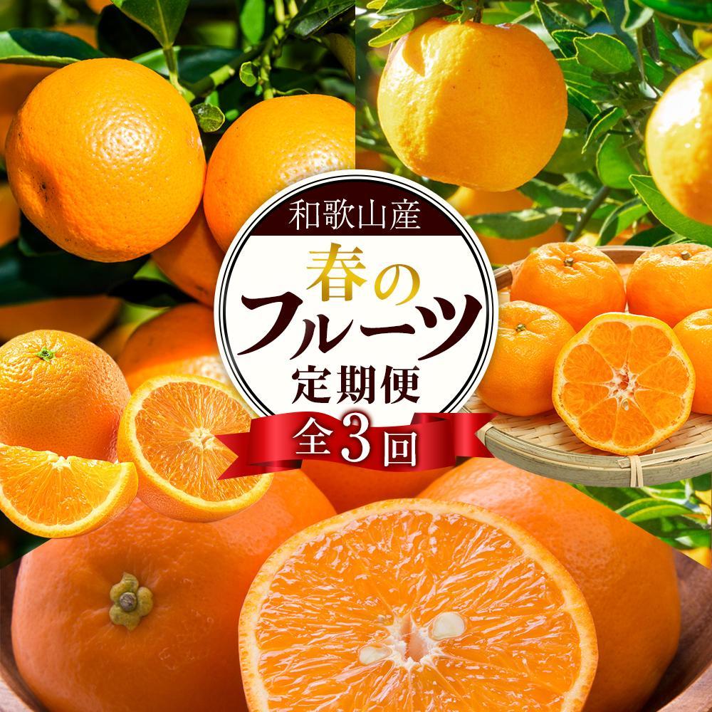 【ふるさと納税】和歌山の春のフルーツ(ポンカン・清見オレンジ・セミノールオレンジ)定期便 全3回 【2月・3月・4月発送】【TM184】 | フルーツ 果物 くだもの 食品 人気 おすすめ 送料無料 定期便 産地直送