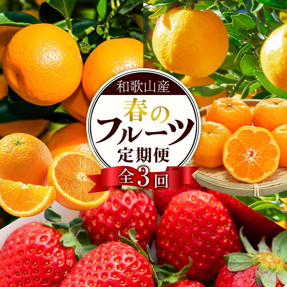【ふるさと納税】定期便全3回 【2月・3月・4月発送】 和歌山の春のフルーツ (ポンカン・清見オレンジ・まりひめ)【TM174】 | フルーツ 果物 くだもの 食品 人気 おすすめ 送料無料 定期便 産地直送