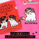 【ふるさと納税】ニタマ駅長Tシャツ<M>・たまニタマクリアファイルセット