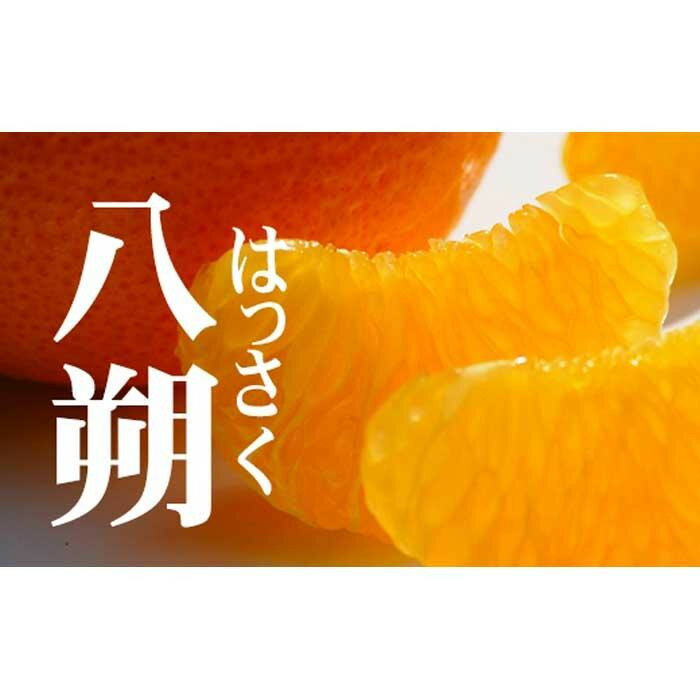 【ふるさと納税】赤秀 はっさく 八朔 ハッサク 6kg|和歌山市産 まごころ産直みかん 木成り 完熟はっさく 柑橘 みかん フルーツ 和歌山みかん 国産 産地直...
