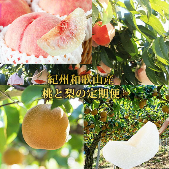 【ふるさと納税】【全2回 定期便】 紀州和歌山産旬のフルーツセット（8月：桃約1.8kg・9月：梨約2kg） ［UT139］ | 定期便 もも 梨 フルーツ 果物 くだもの 食品 人気 おすすめ 送料無料