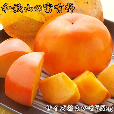 【ふるさと納税】[甘柿の王様]和歌山産富有柿約7.5kgサイズおまかせ
