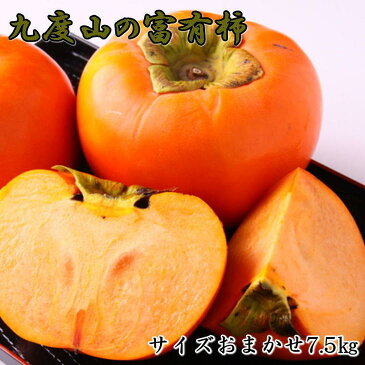 【ふるさと納税】[柿の名産地]九度山の富有柿約7.5kgサイズおまかせ