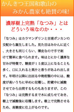 【ふるさと納税】初夏のみかん なつみ5kg