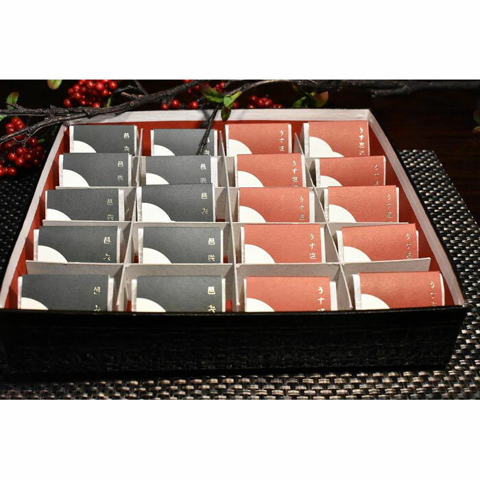 【ふるさと納税】高級南高梅うす塩・邑咲（昆布旨味）個包装計20粒入【紀州塗箱 網代模様仕上】 | 和歌山県 和歌山市 和歌山 楽天ふるさと 納税 支援品 返礼品 お取り寄せグルメ お取り寄せ 取り寄せ グルメ 梅干 梅干し うめぼし ご飯のお供 ごはんのおとも ごはんのお供