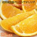 【ふるさと納税】秀品 希少な国産バレンシアオレンジ 2.5kg【2025年6月下旬頃~2025年7月上旬頃に順次発送】【UT75】 | フルーツ 果物 くだもの 食品 人気 おすすめ 送料無料(4)