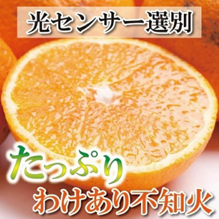 【ふるさと納税】＜4月より発送＞家庭用 不知火2.5kg+75g（傷み補償分）【デコポンと同品種・人気の春みかん】【光センサー食頃出荷】【わけあり・訳あり】