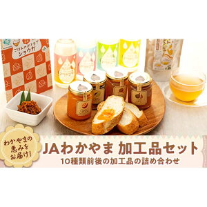 【ふるさと納税】わかやまの恵みをお届け! JAわかやま 加工品セット | 和歌山県 和歌山市 和歌山 楽天ふるさと 納税 支援品 返礼品 加工品 詰め合わせセット 詰め合わせ セット 加工食品 食品 食べ物 食料品 おいしい 美味しい ワンストップ ワンストップ特例制度