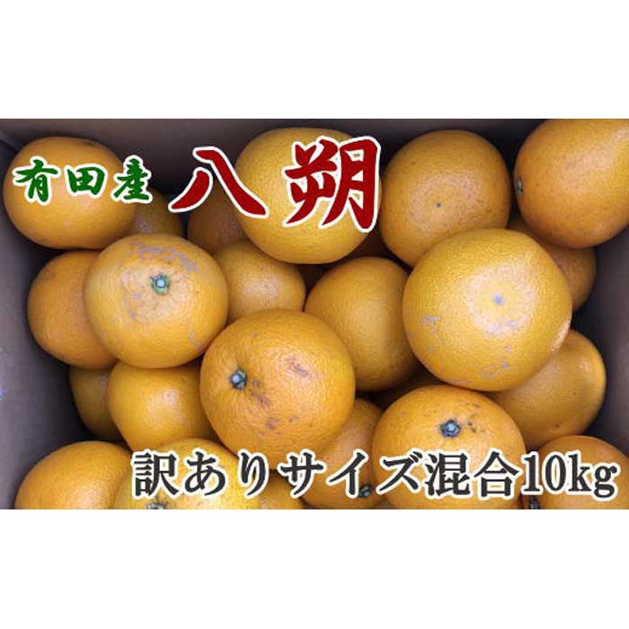 【ふるさと納税】【先行予約】【手選果・訳あり】有田産の八朔10kg（サイズ混合）