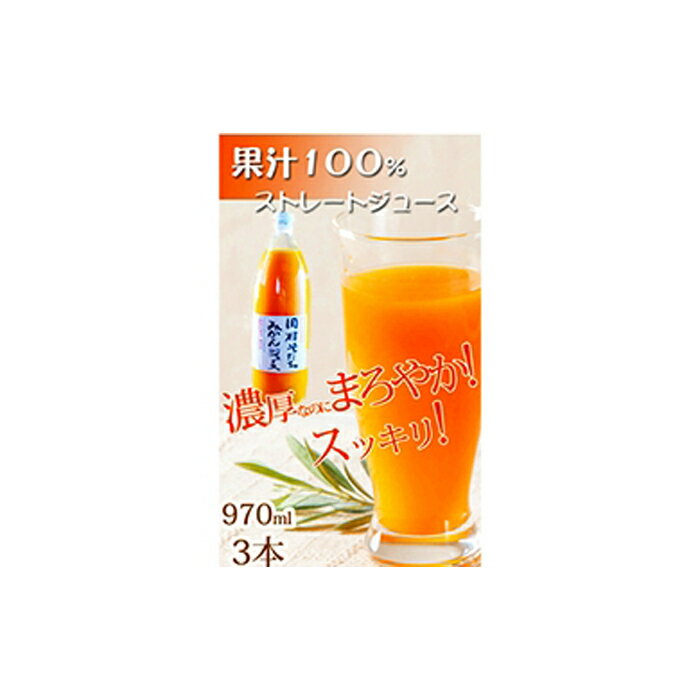 【ふるさと納税】果汁100％田村そだちみかんジュース 970ml×3本 | 和歌山県 和歌山市 和歌山 楽天ふるさと 納税 支援品 返礼品 ジュース みかんジュース ミカンジュース 飲み物 フルーツジュース 果汁100 ソフトドリンク みかん ミカン ドリンク 柑橘 柑橘類