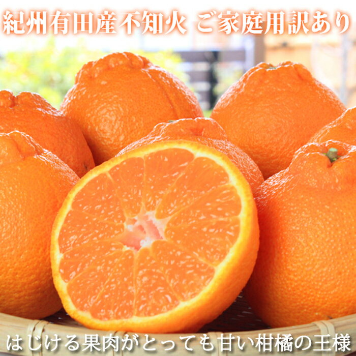 【ふるさと納税】［ご家庭用訳有り］紀州有田産不知火(しらぬひ) 約8.5kg［2026年2月中旬以降発送］［先行予約］［UT41］ | 和歌山県 和歌山市 フルーツ 果物 くだもの 不知火 しらぬい 柑橘 柑橘類 かんきつ類 特産品 国産