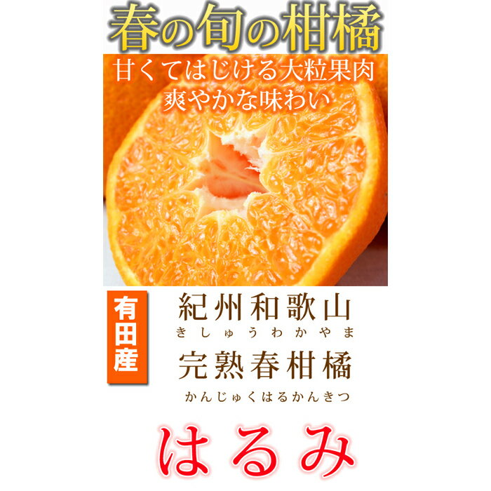 【ふるさと納税】果肉ぷりぷり!完熟はるみ　5kg【2026年2月中旬頃～2026年2月下旬頃に順次発送】【UT22】 | 和歌山県 和歌山市 和歌山 楽天ふるさと 納税 支援品 返礼品 お取り寄せグルメ お取り寄 柑橘類 かんきつ類