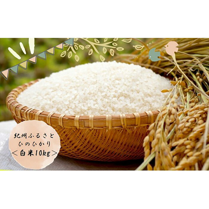 【ふるさと納税】令和5年産 新米 ふるさと紀州産ひのひかり 白米10kg | 和歌山県 和歌山市 和歌山 楽天ふるさと 納税 支援品 返礼品 お取り寄せグルメ お取り寄せ 取り寄せ グルメ お米 おこめ 米 こめ コメ ひのひかり ヒノヒカリ 令和4年 白米 10キロ 美味しいお米のサムネイル