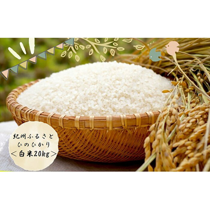 【ふるさと納税】令和4年産 新米 ふるさと紀州産ひのひかり 白米20kg(10kg×...