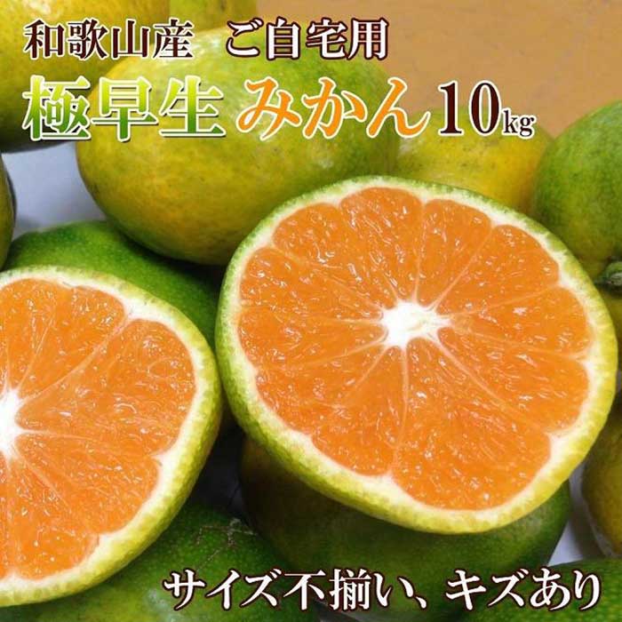 78位! 口コミ数「1件」評価「4」和歌山産 【極早生】みかん 10kg 【ご自宅用・サイズ不揃い・キズ等あり】【ヤマタ大谷商店】