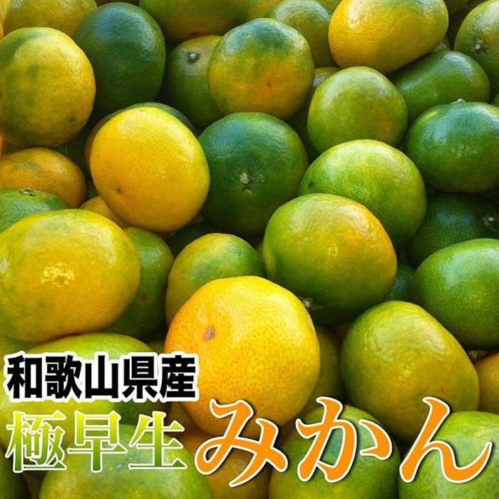 【ふるさと納税】和歌山産 【極早生】みかん 5kg 【ご自宅用・サイズ不揃い・キズ等あり】【ヤマタ大谷商店】