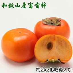 【ふるさと納税】［厳選・産直］和歌山産の富有柿約2kg（化粧箱入り）（2L～4Lサイズ）★2024年11月頃より順次発送