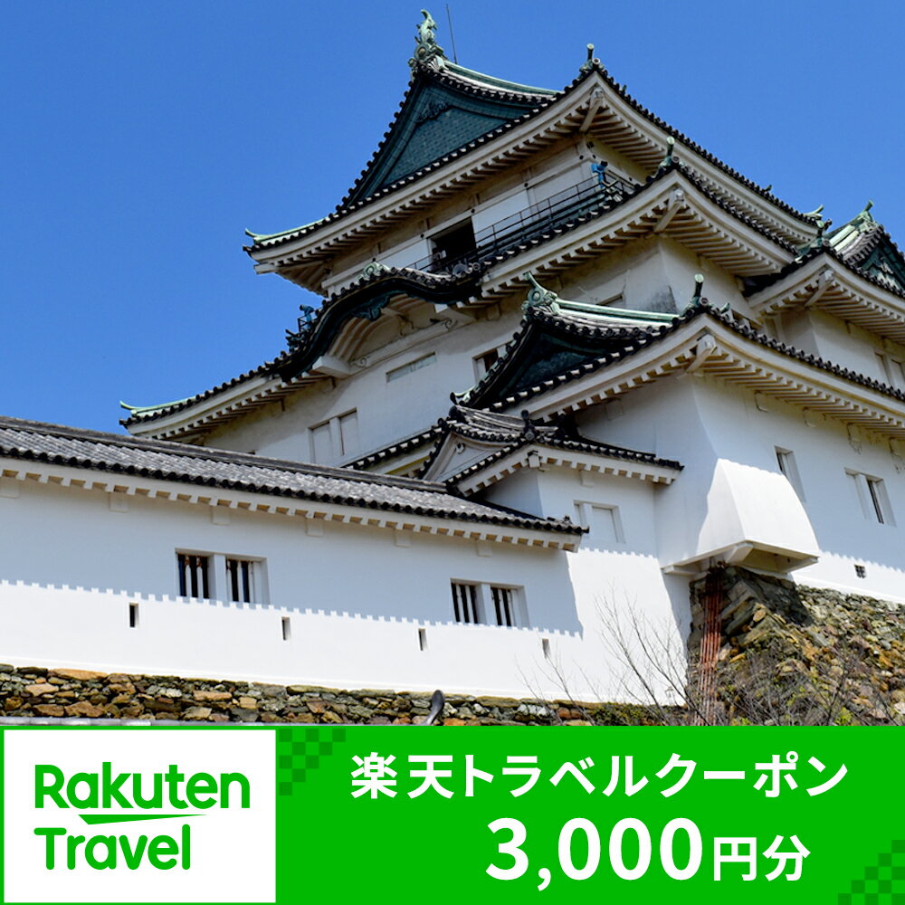 和歌山県和歌山市の対象施設で使える楽天トラベルクーポン 寄付額10,000円