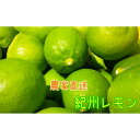 【ふるさと納税】【国産】農家直送! 紀州レモン 約3kg