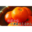 【ふるさと納税】【紀州伝統の味】 下津 蔵出し みかん 7.5kg【混合サイズ】