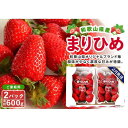 【ふるさと納税】【ご家庭用(簡易包装)】和歌山県産まりひめ 1箱(2パック入り)【2026年2月お届け】【MG60】