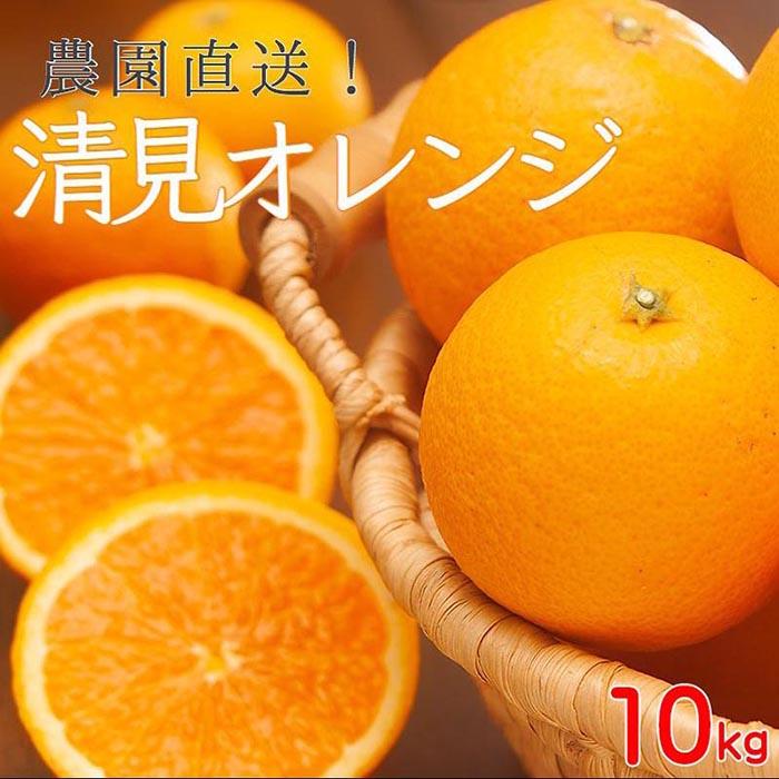 【ふるさと納税】【高評価★4.60以上】清見オレンジ10kg