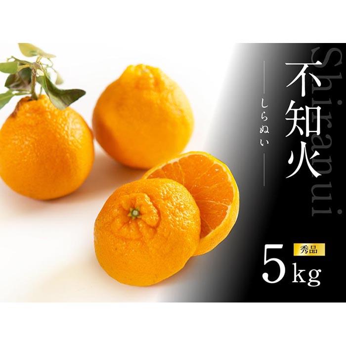 【ふるさと納税】不知火5kg（15～24玉入り)《赤秀》和歌