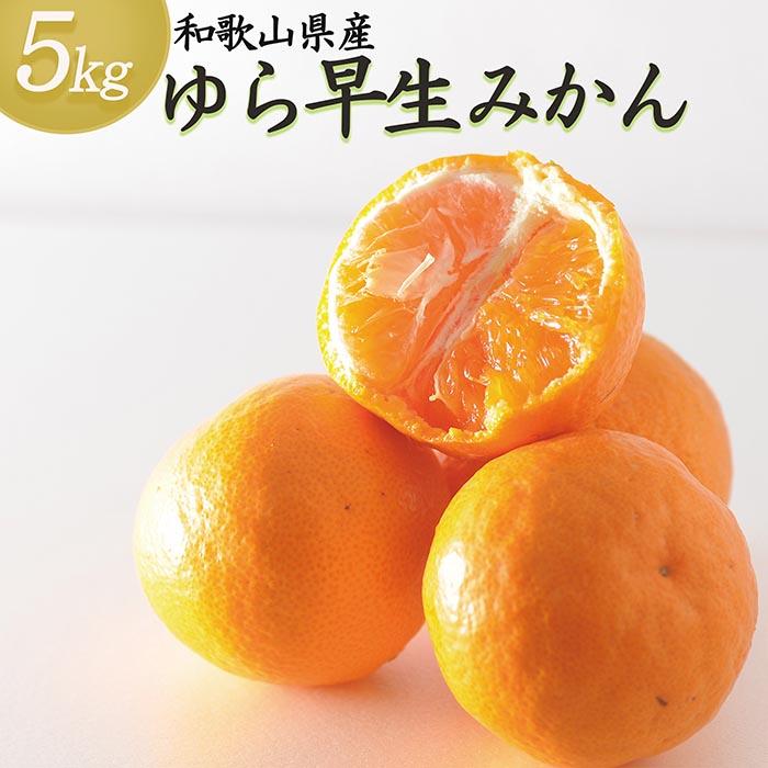 73位! 口コミ数「1件」評価「3」ゆら早生みかん5kg(SS・S・Mサイズおまかせ)《赤秀》味の濃い極早生みかんを和歌山県より農園直送！まごころ産直みかん【北海道・沖縄県・一･･･ 