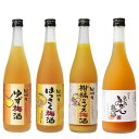 【ふるさと納税】【和歌山の梅酒】柑橘梅酒4種720ml飲み比べセット