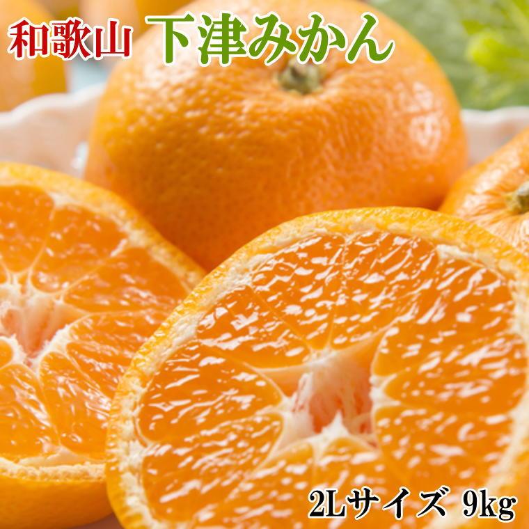 【ふるさと納税】【産直・秀品】和歌山下津みかん約9kg（2L