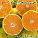 【ふるさと納税】【極早生みかんの逸品】和歌山県産ゆら早生みかん約5kg★2025年10月中旬頃より順次発送【TM120】