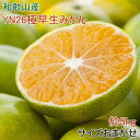 【ふるさと納税】【産直】YN26極早生みかん約5kg(2S〜Mサイズおまかせ)★2025年9月中旬頃より順次発送【TM13】