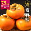 【ふるさと納税】◆先行予約◆和歌山県産 富有柿＜ご家庭用＞約7.5kg【2024年11月上旬以降発送】【九度山町産】【MG2】 | 和歌山 和歌山県 返礼品 支援 お取り寄せ ご当地 お土産 柿 かき カキ 特産品 名産品 果物 くだもの フルーツ 食品 食べ物 美味しい おいしい