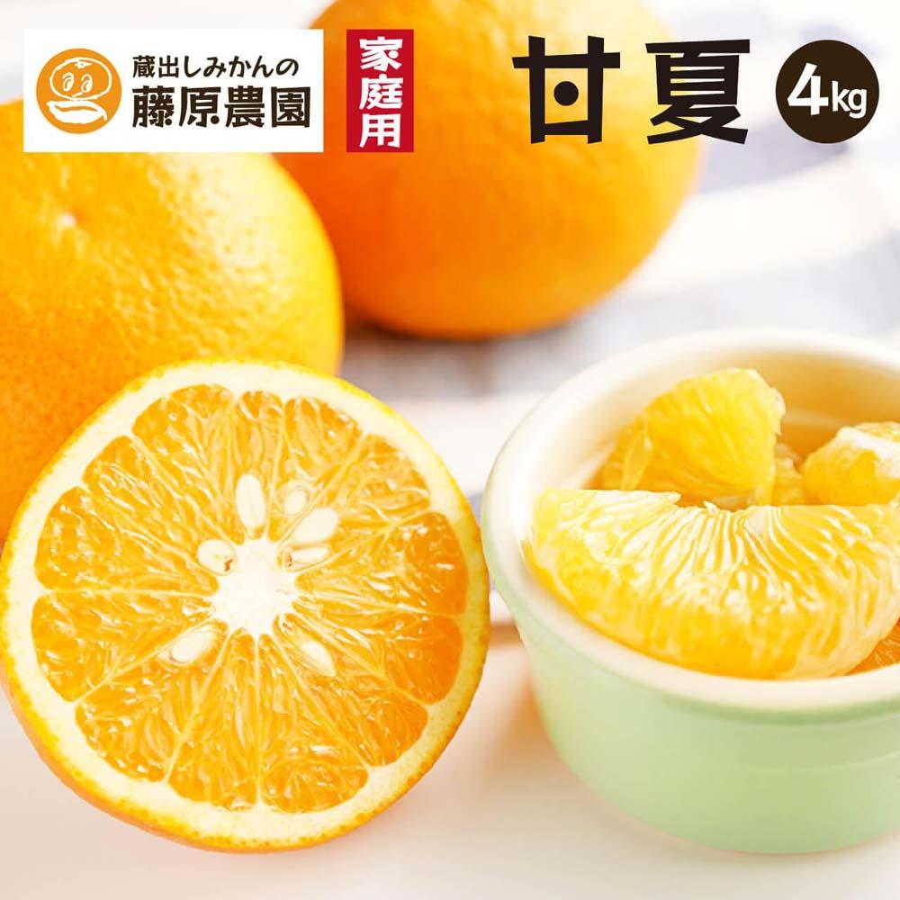 【ふるさと納税】甘夏|和歌山県海南市から産地直送でお届け|4kg|ご家庭用【2025年4月より発送開始】 | フルーツ 果物 くだもの 食品 人気 おすすめ 送料無料