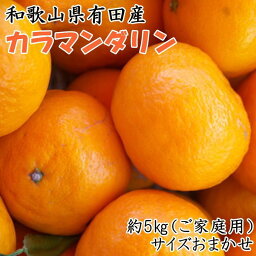 【ふるさと納税】【ご家庭用】和歌山県有田産カラマンダリン約5kg（サイズおまかせ）★2024年4月より順次発送予定 | フルーツ 果物 くだもの 食品 人気 おすすめ 送料無料