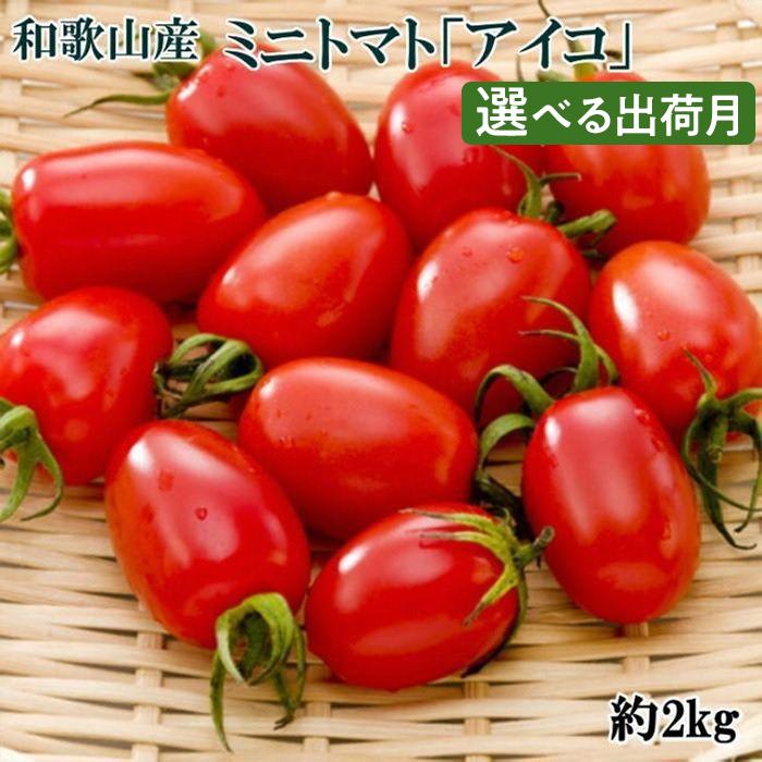 2位! 口コミ数「0件」評価「0」和歌山産ミニトマト「アイコトマト」約2kg（S・Mサイズおまかせ）