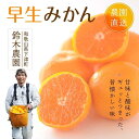 【ふるさと納税】小粒みかんS又はSSサイズ 5kg【小粒の早生みかん】11月中旬~1月中旬頃に鈴木みかん農園より農園直送|Sサイズ 2Sサイズ 2S SS 小さい こつぶ 小玉 ※北海道・沖縄・離島への配送不可 ミカン 蜜柑 mikan 温州みかん 温州ミカン わけあり 訳アリ(4)