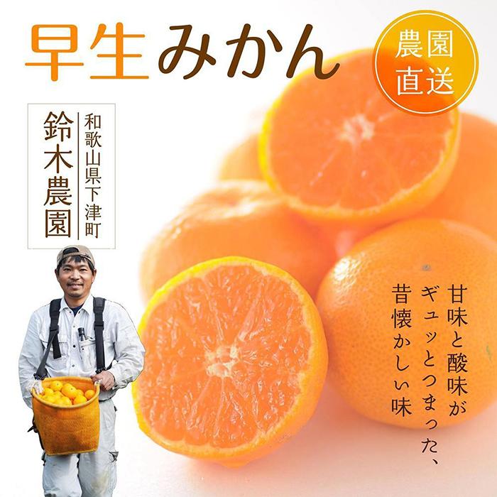 【ふるさと納税】早生みかん（希少な小粒2S~3Sサイズ）5kg混合【和歌山県】鈴木農園より農園直送！ 【...