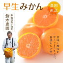 【ふるさと納税】小玉みかんS又はSSサイズ 3kg【小玉の早生みかん】11月中旬〜1月中旬頃に鈴木みかん農園より農園直送|Sサイズ 2Sサイズ 2S SS 小粒...