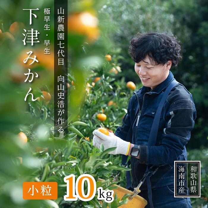 3位! 口コミ数「12件」評価「5」極早生or早生みかん10kg(小粒SS・Sサイズおまかせ)《秀》山新農園より農家直送！まごころ産直みかん【北海道・沖縄県・一部離島 配送不可･･･ 