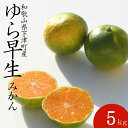 【ふるさと納税】ゆら早生みかん5kg (小粒2S・3S混合)《秀》味の濃い極早生みかんを和歌山県より農園直送!まごころ産直みかん【北海道・沖縄県・一部離島 配送...